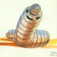 Illustration for article titled The Strange Creatures that Cronenbergs emTotal Recall/em Would Have Included